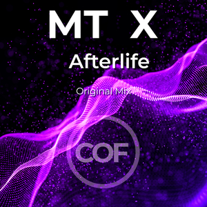 Afterlife