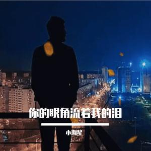 你的眼角流着我的泪（阿郎 remix）