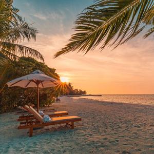 【售断】【仲夏夜疯狂】POP PUNK X ROCK type beat