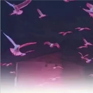 明月天涯（Cover.五音Jw）