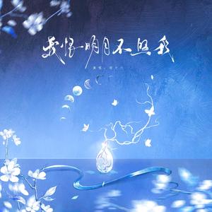 我恨明月不照我