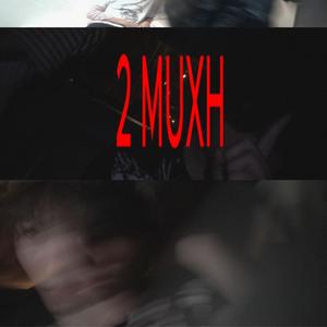 2 muxh