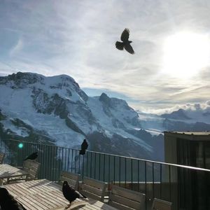 音乐拯救世界（Prod by Lakewavebeats）