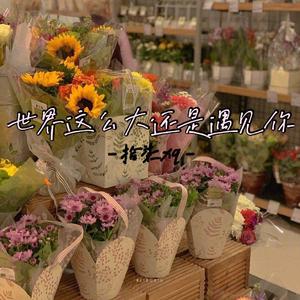 世界这么大还是遇见你