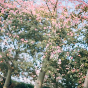 我不想改变世界 我只想不被世界改变