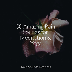 Dancing Petals Under Grey Skies