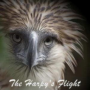 The Harpy's Flight