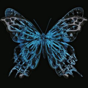 Butterfly（prod.Cray）