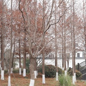 既然交汇过 何必问要去哪个远方