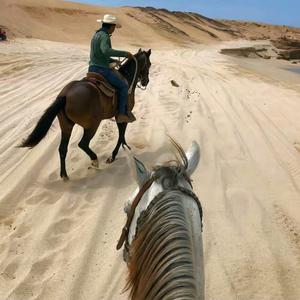 Lay La La (Amor-Amor)