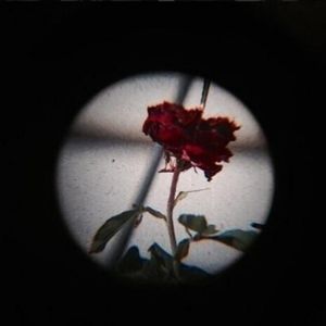 Dead If i Say So (0.9x)