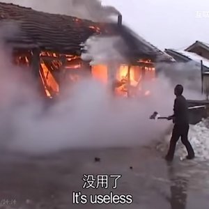 东北文学私人呐喊