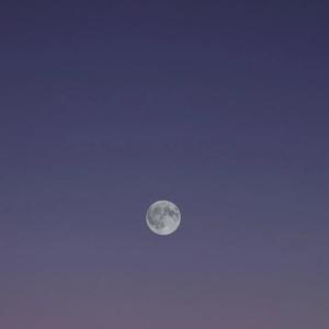 西街（纯音乐）