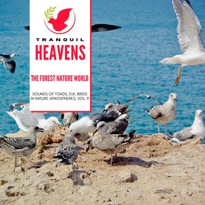 Sibilant Water Flowing