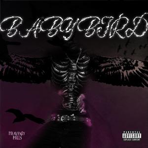 BABYBIRD (feat. Lil Macho)