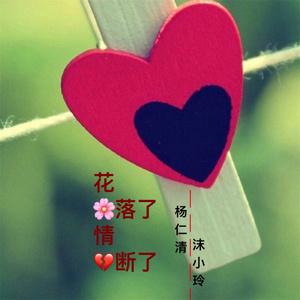 花落了情断了(伴奏)