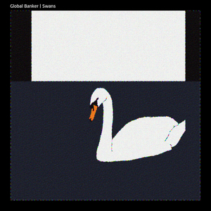 Swans
