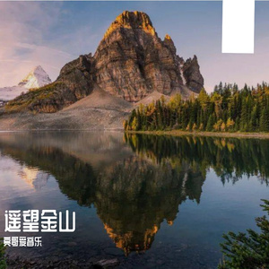 积极进取的冬寒