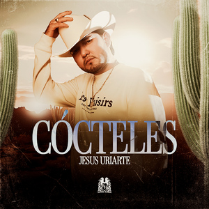 Cócteles