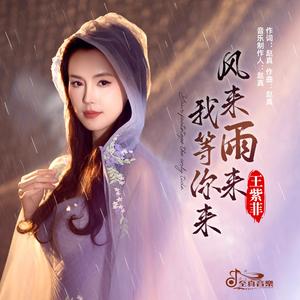 风来雨来我等你来