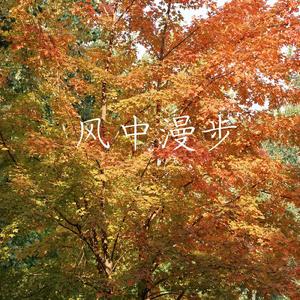 风中漫步demo