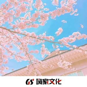 口是心非(弹鼓版DJ)