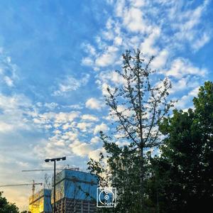 心型药片儿（夏日重制版）（Prod. GC）