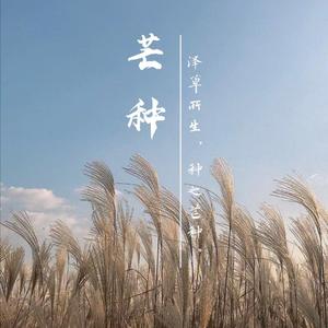 芒种（翻自 Z-HEN）