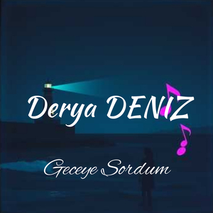 Geceye Sordum
