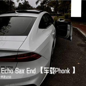 Echo Sax End 【车载Phonk】（ɌƵ1218 remix）