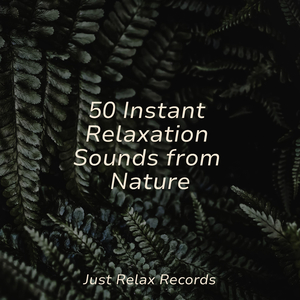 Ephemeral Blossom Waltz