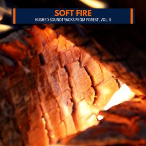 The Noises Of Wolves