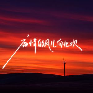 痴情风儿向北吹