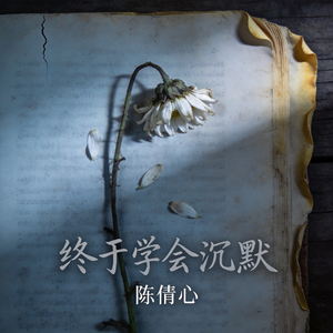 终于学会沉默