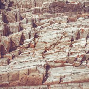 Bandersnatch (pandemix)