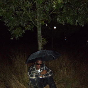 grow into the blossoms