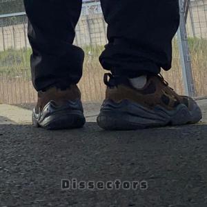 Dissectors (feat. 4daes6)