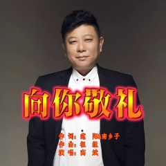 向你敬礼