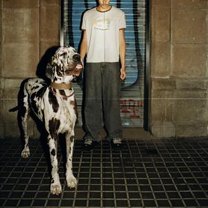 סטיביאינטרלוד