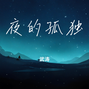 夜的孤独