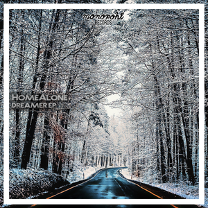 Dreamer (Dominolo Remix)