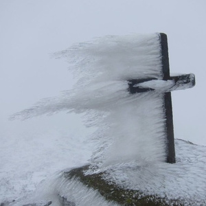 † ђєคvєภร ค ๓เlє คฬคy †