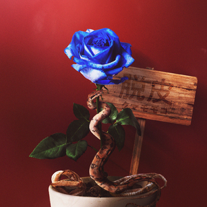 ばくのみるゆめ