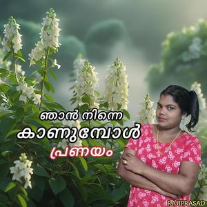 ഞാൻ നിന്നെ കാണുമ്പോൾ പ്രണയം