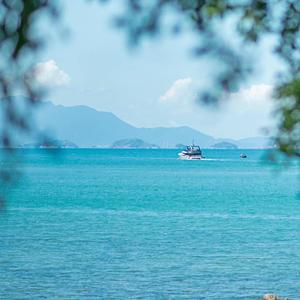 不是寻欢作乐的伴