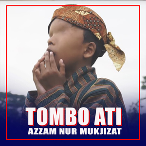 TOMBO ATI