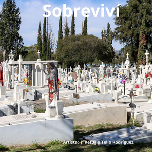Sobreviví.