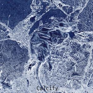 Calcify