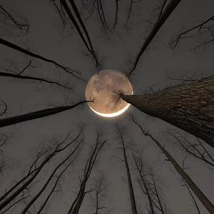 Romanticize Your Suffering (feat. Zag Pogrob)