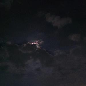 讨厌的喜欢的（ remix）